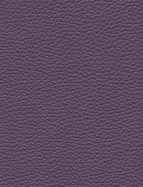 Aubergine