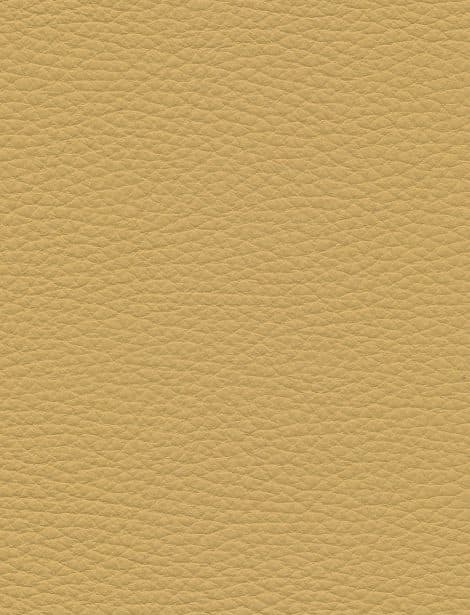 Desert