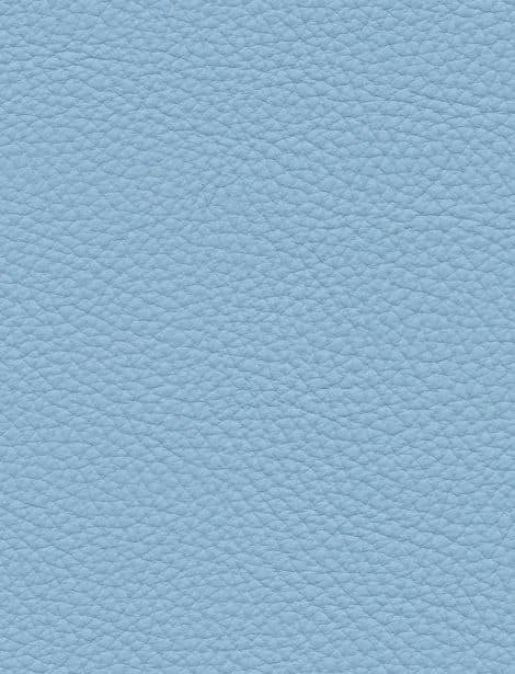 Skyblue